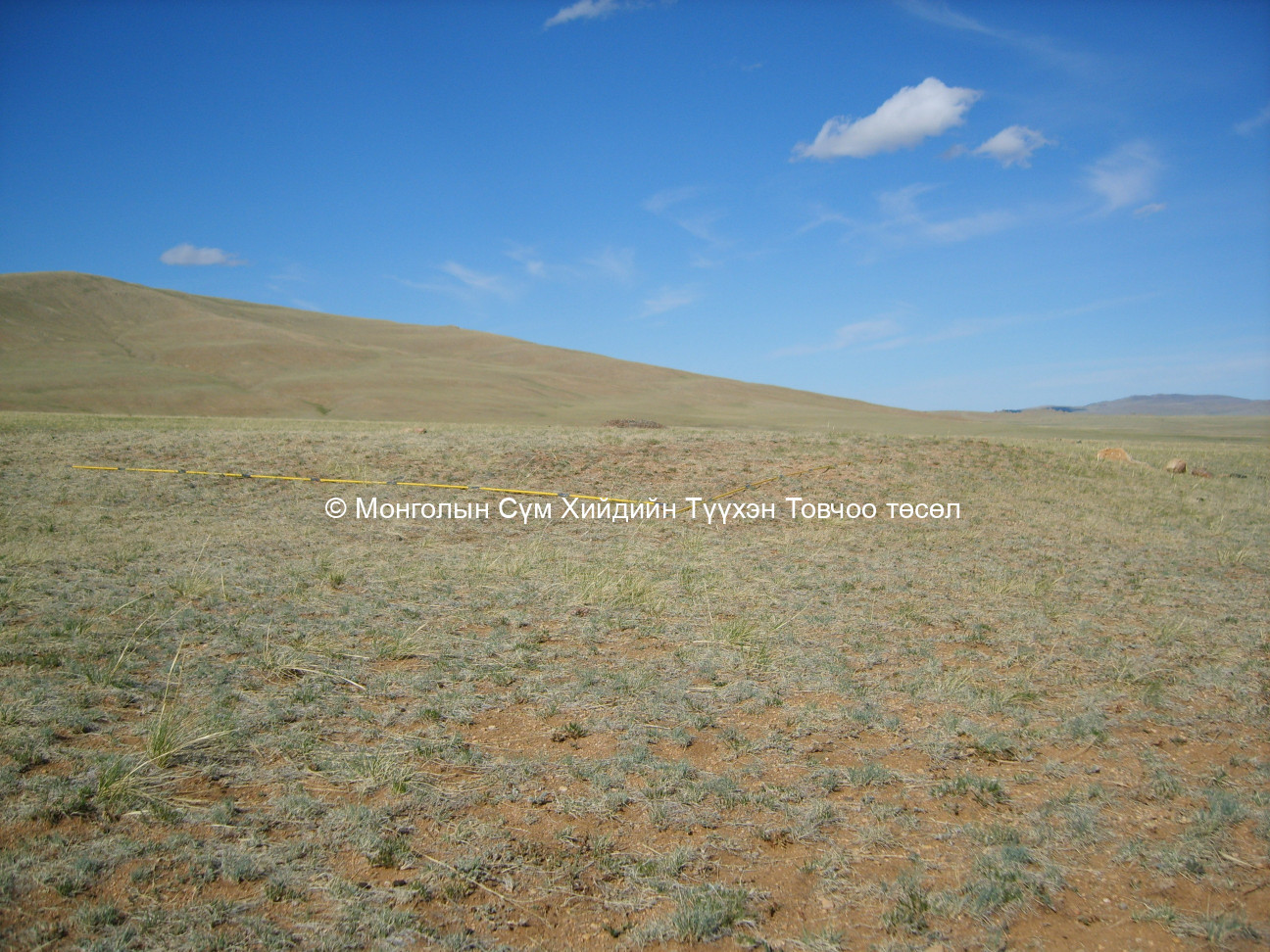 Баруун-Өмнөд талаас авсан